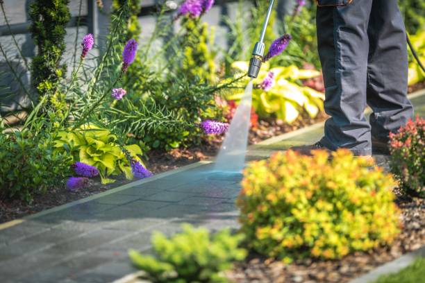 Reliable Rosedale, CA Pressure Washing Services Solutions