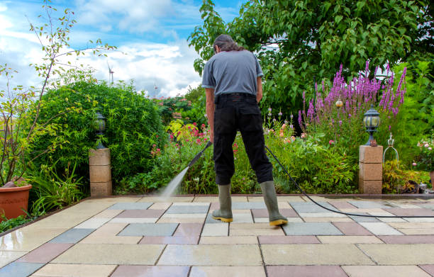 Best Spring Cleaning  in Rosedale, CA