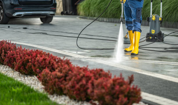 Best Soft Washing  in Rosedale, CA